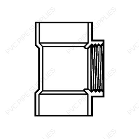 2" Cleanout Tee DWV Fitting, D445-020 2" Cleanout Tee DWV Fitting, D445-020