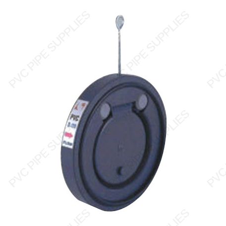 4" PVC Wafer Check Valve, 8986