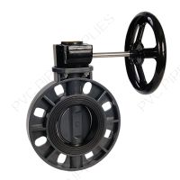 2-1/2" Hayward BYCS Series PVC Butterfly Valve Gear, EPDM Liner