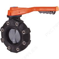 2-1/2" Hayward BYV Series PVC Butterfly Lugged Valve, Nitrile