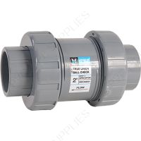 3" Hayward TC Series True Union CPVC Check Valve