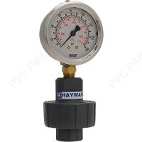 1/4" x 1/4" Hayward GG Series CPVC Gauge Guard w/SS Gauge, 160 PSI