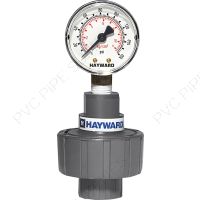 1/4" x 1/2" Hayward GG Series PVC Gauge Guard w/Std Gauge, 30 PSI