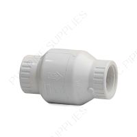 1/2" PVC Utility Swing Check Valve, Threaded, EPDM, S1520-05F