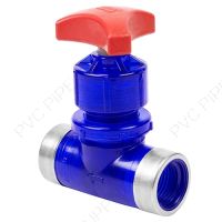 1/2" Spears PVC Low Extractable Globe Pattern Needle Valve, FPT