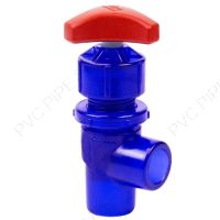 1/4" Spears PVC Low Extractable Angle Pattern Needle Valve, FPT