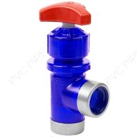 1/2" Spears PVC Low Extractable Angle Pattern Needle Valve, FPT