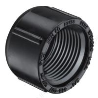 1/2" PVC Schedule 40 Black Cap FPT