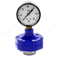 1/4" PVC Low Extractable 30 PSI Gauge Guard EPDM