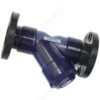 2" Clear PVC Y Strainer, Hayward, YS00200F