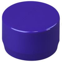 2" Purple End Cap Furniture Grade PVC Fitting