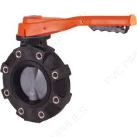 2" Hayward BYV Series CPVC Butterfly Lugged Valve, FPM